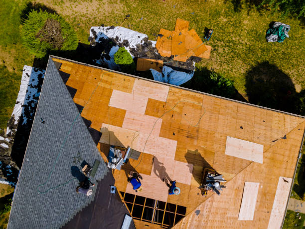 Best Local Roofing Companies  in Mckinley, PA